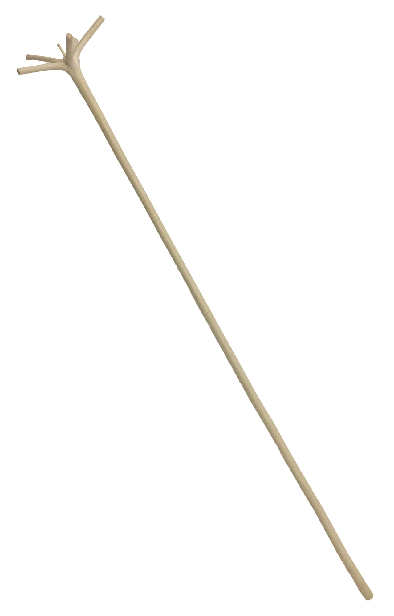 Swizzle Stick tradicional también conocido como le Bois Lélé de Martinica 