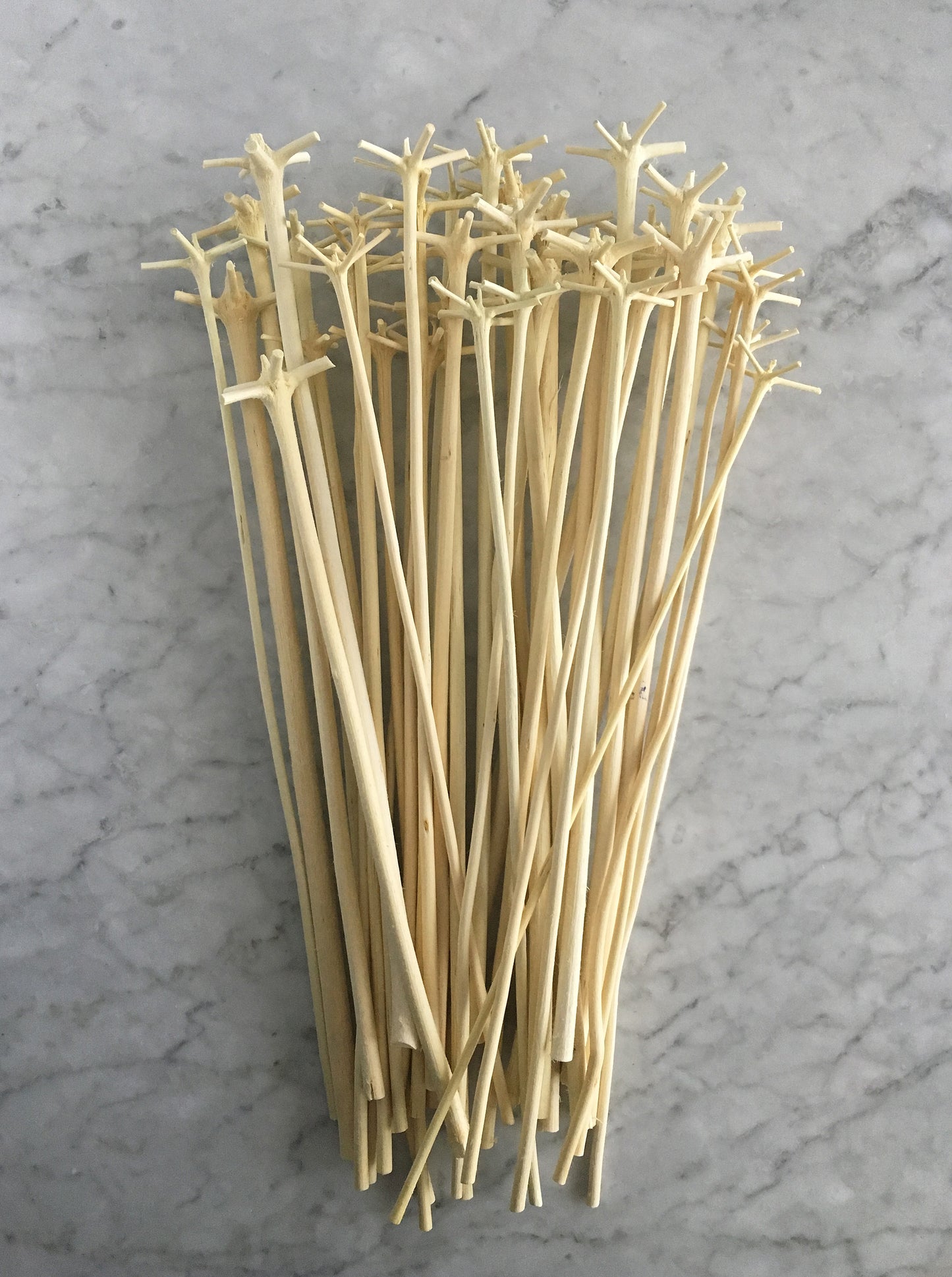 Traditional Swizzle Stick aka le Bois Lélé from Martinique