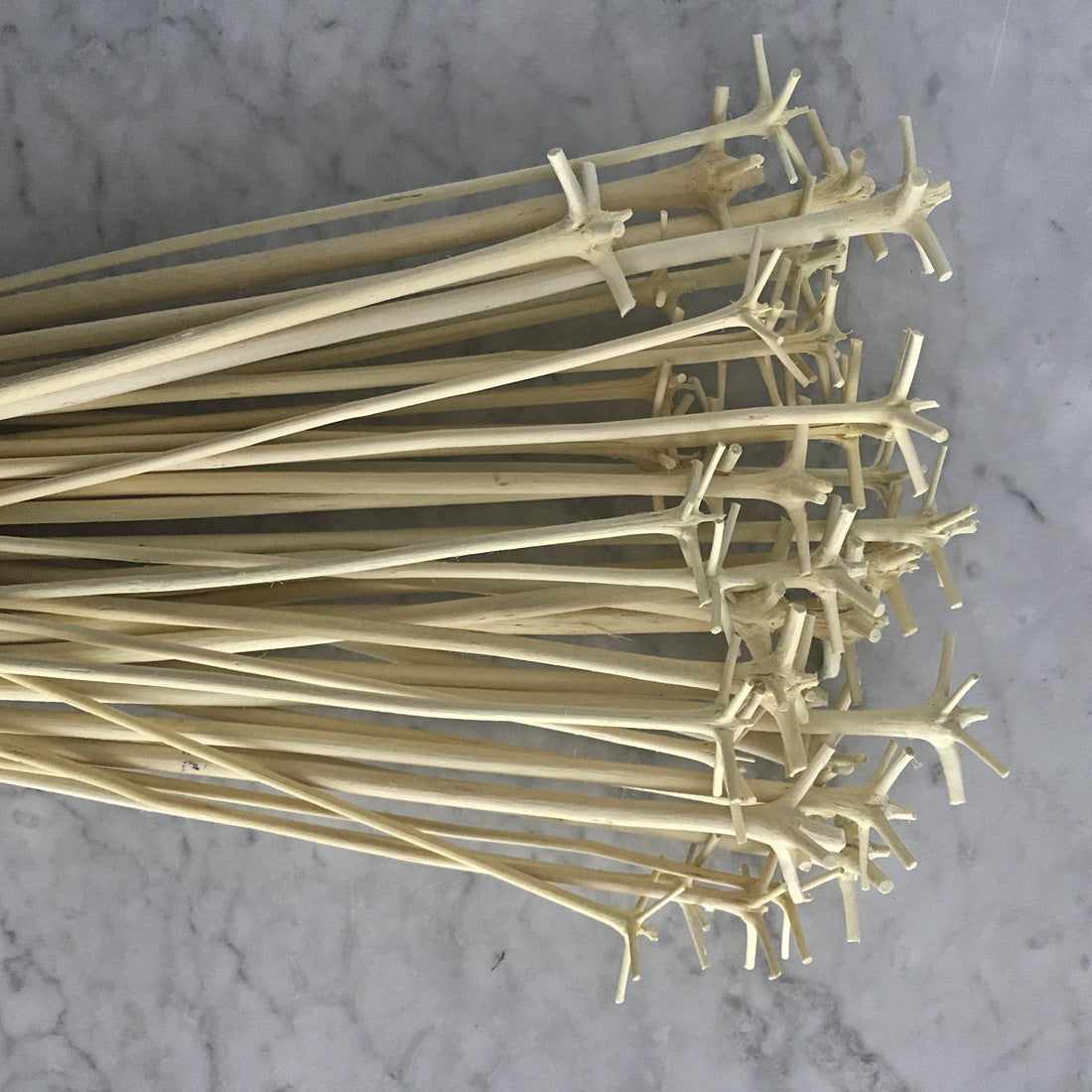 Traditional Swizzle Stick aka le Bois Lélé from Martinique